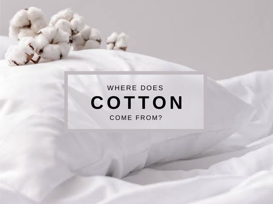 You are currently viewing Where does cotton come from?