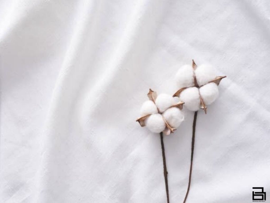 Where does cotton come from?