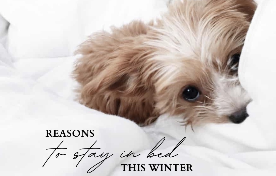 Read more about the article REASONS TO STAY IN BED THIS WINTER