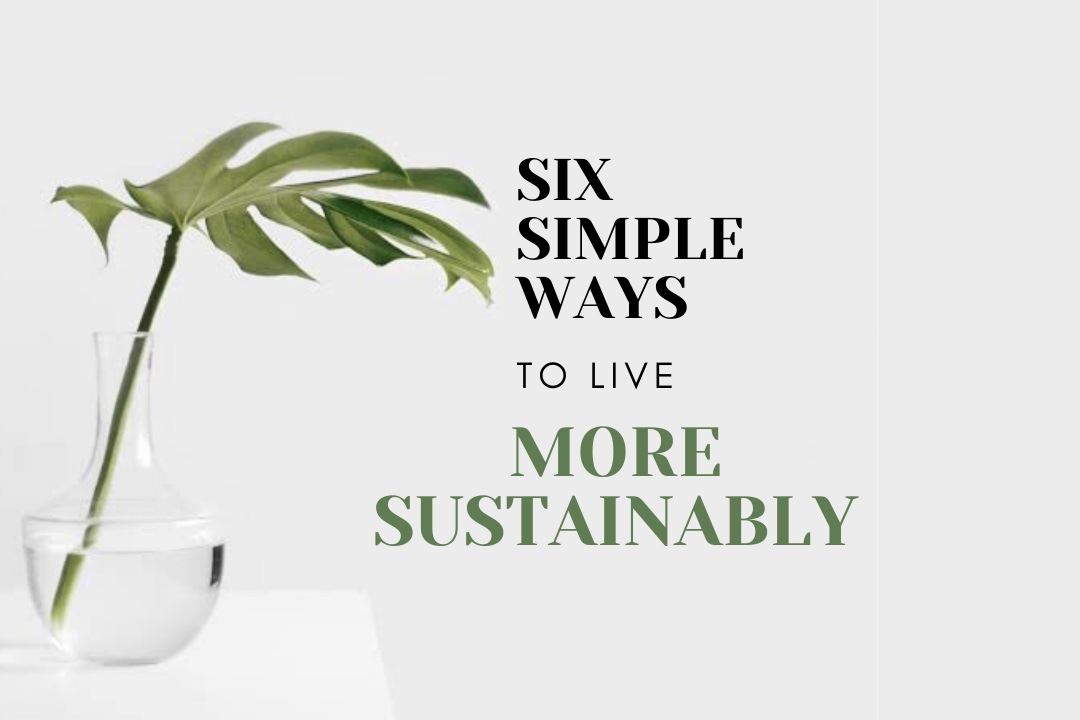 Read more about the article 6 SIMPLE WAYS TO LIVE MORE SUSTAINABLY