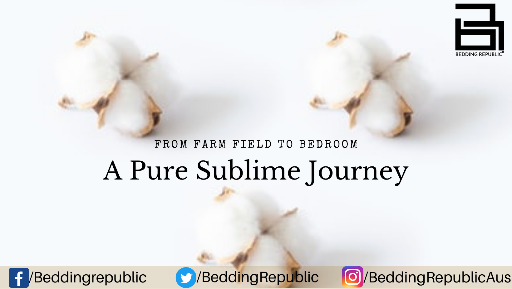 Read more about the article The Journey Of Cotton, From Farm Fields To Your Bedroom