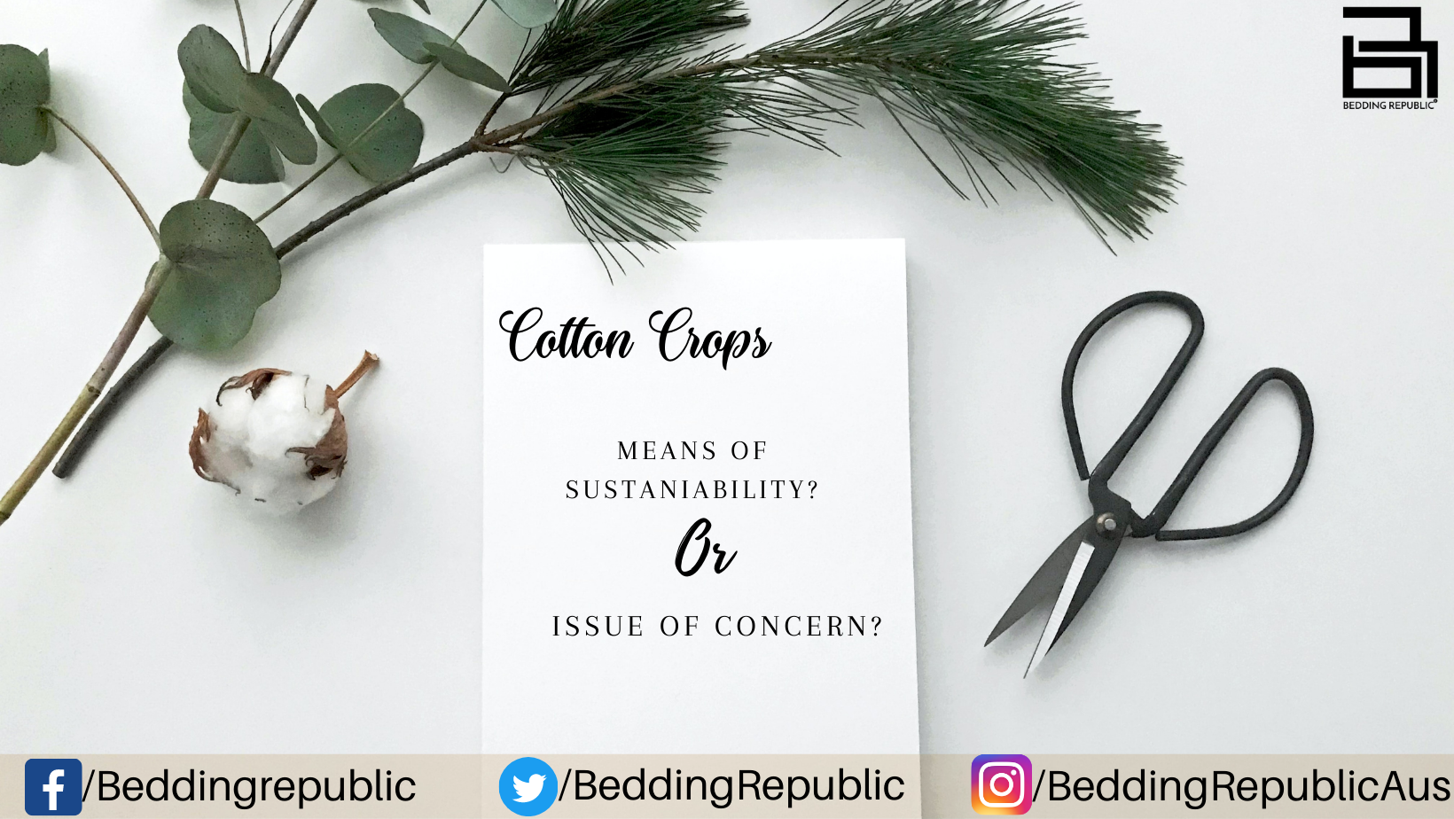 Read more about the article Can We Really Sustain Global Consumption On Organic Means Of Growing Cotton?