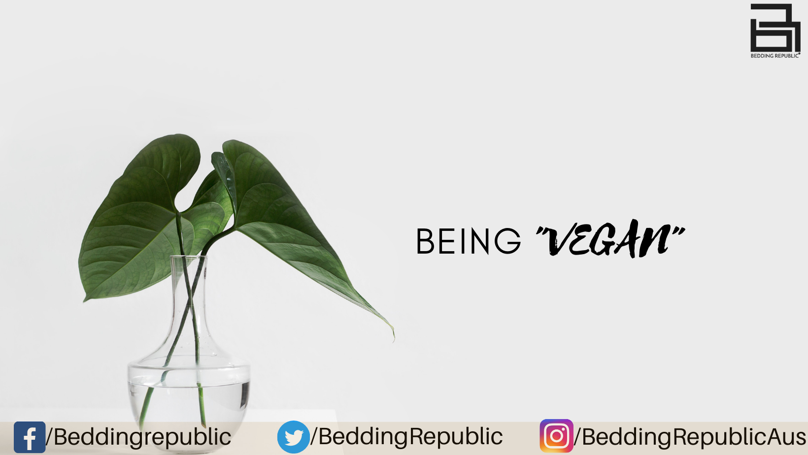 Read more about the article Is Your Bedroom vegan Friendly?