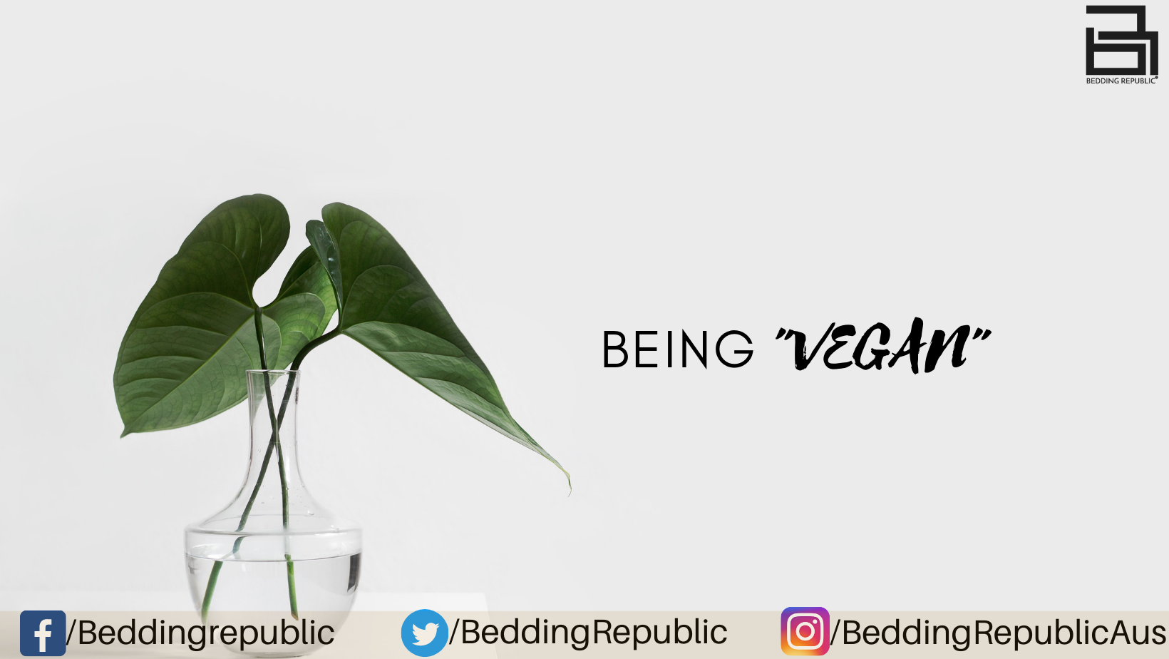 You are currently viewing Is Your Bedroom vegan Friendly?