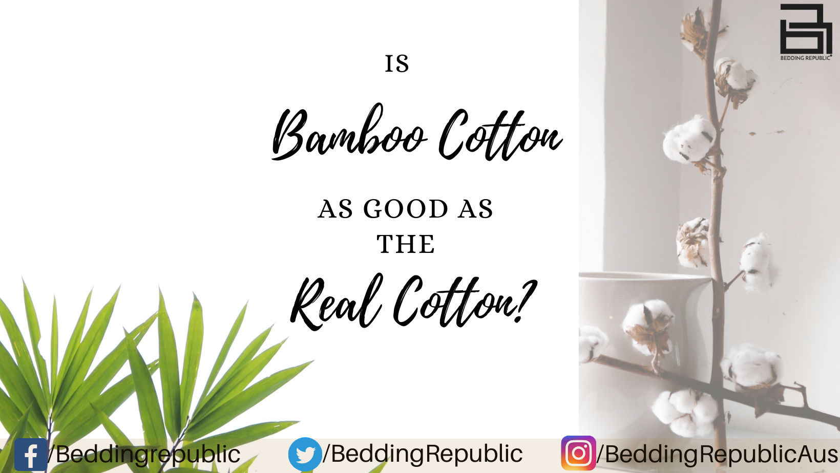 Read more about the article Is Bamboo Cotton Real Cotton Or As Good As The Real Cotton?