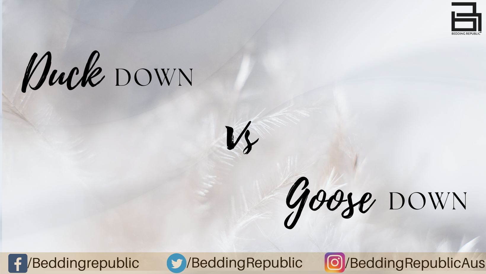 You are currently viewing Duck Down Vs Goose Down