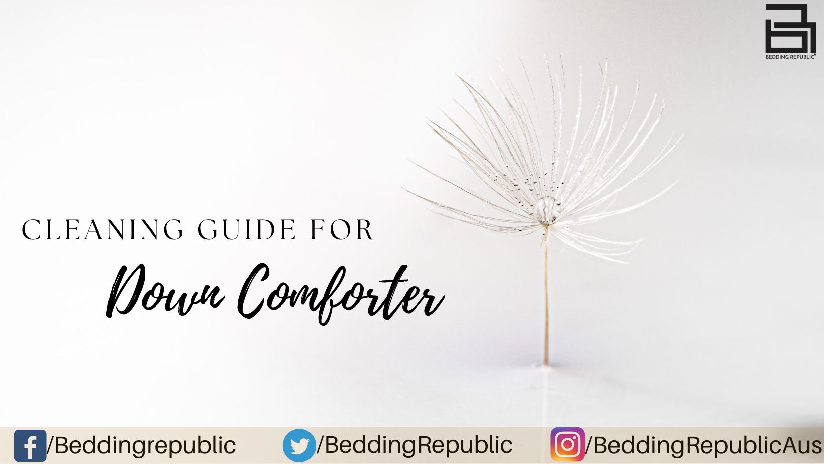 Read more about the article Cleaning Guide For Down Comforter