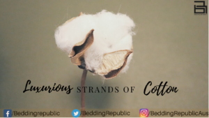 Read more about the article The Luxurious Strands Of Cotton