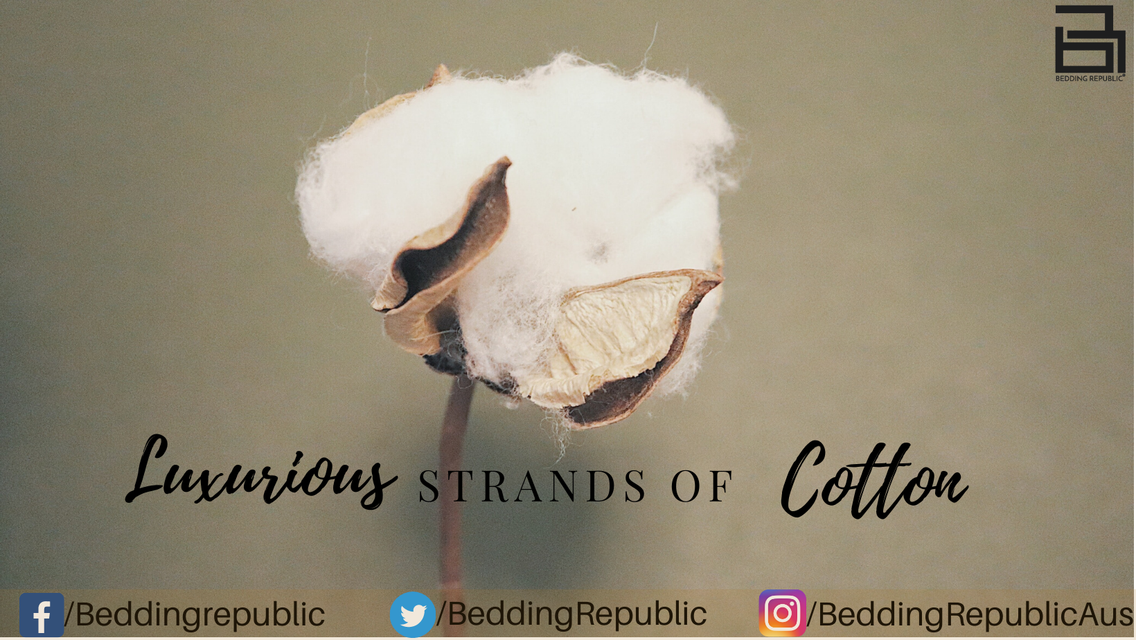 You are currently viewing The Luxurious Strands Of Cotton